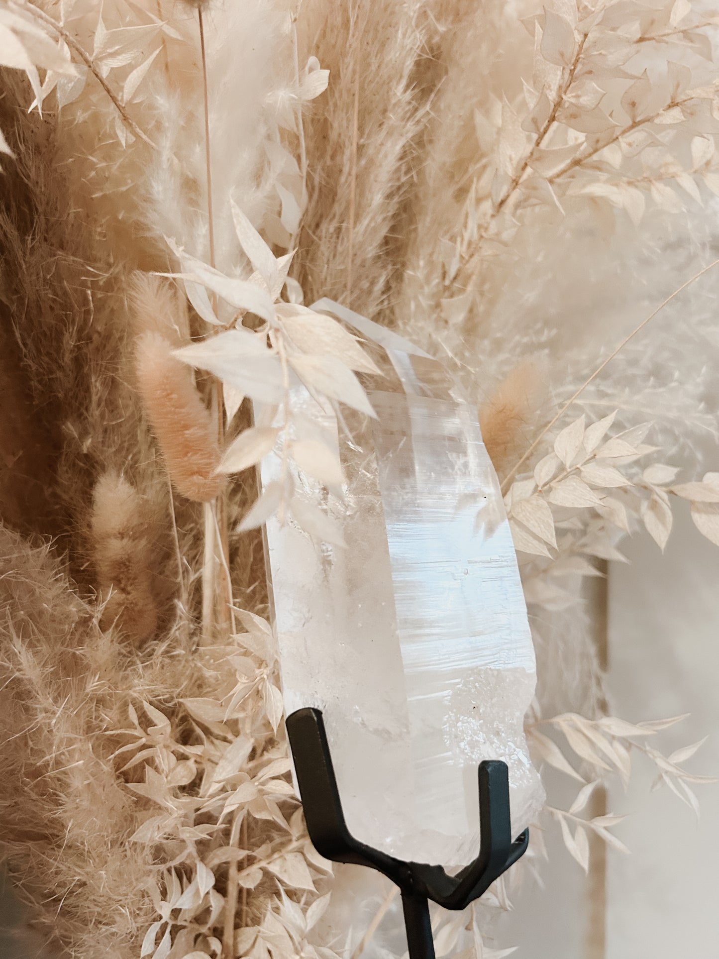 Lemurian Quartz Point on Stand