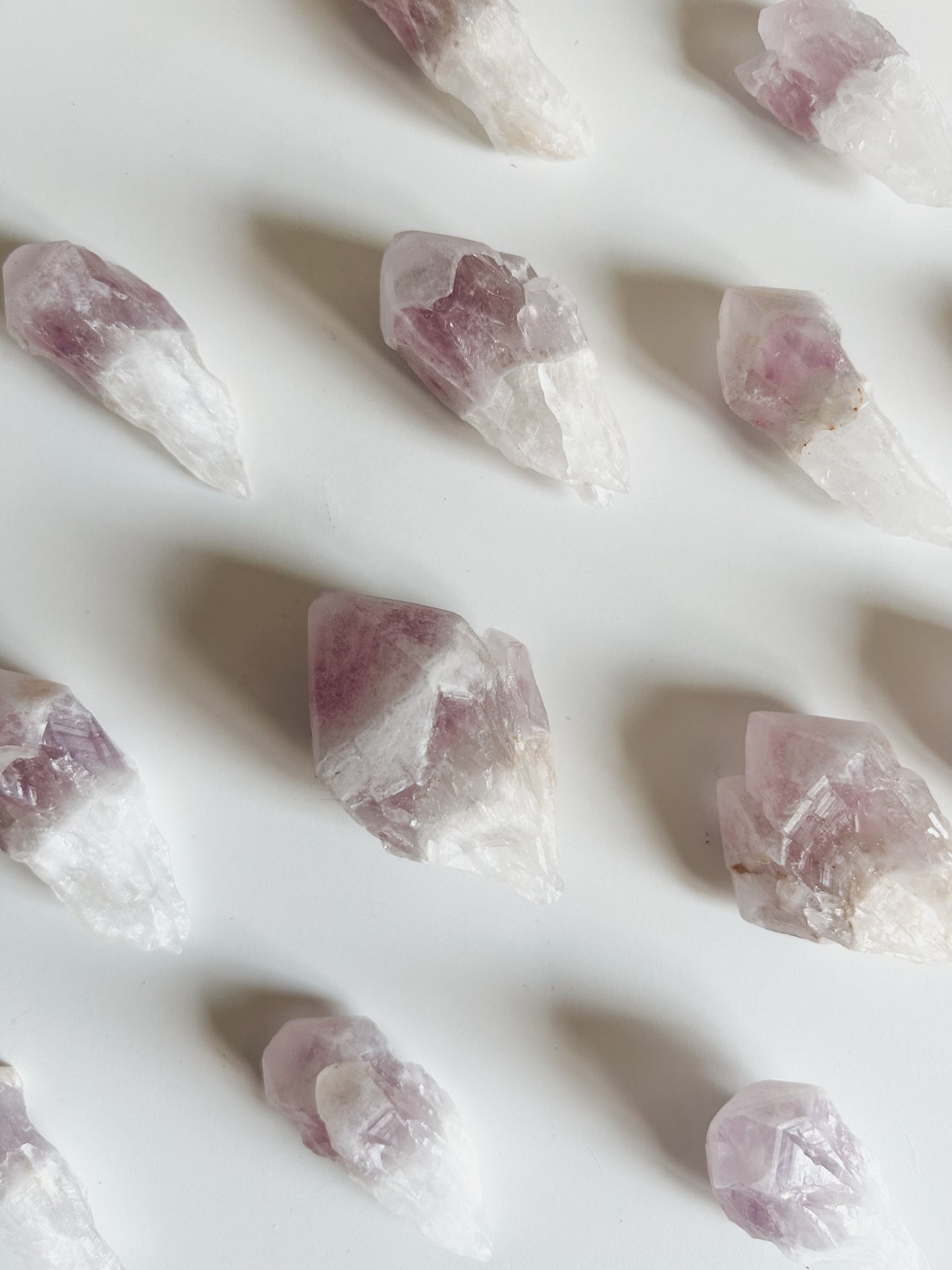 Lavender Amethyst Roots