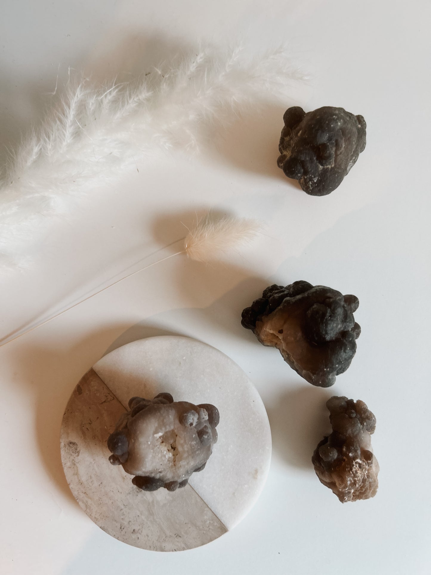 Raw Truffle Botryoidal Chalcedony