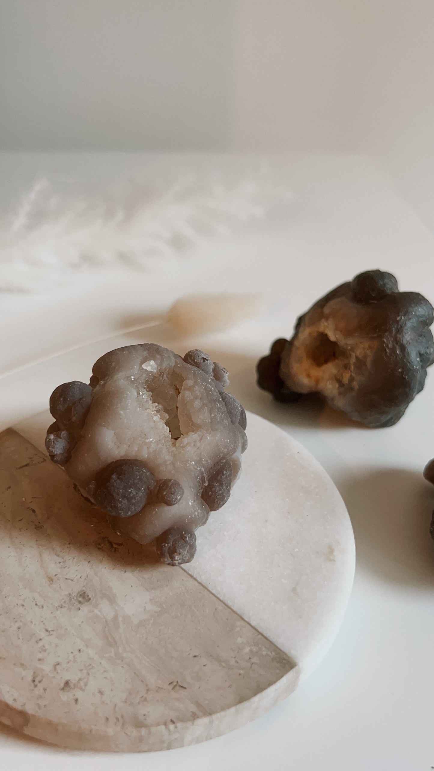 Raw Truffle Botryoidal Chalcedony